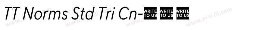 TT Norms Std Tri Cn字体转换